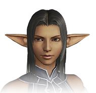 Elvaan Female FFXI character, FFXI account for sale
