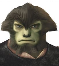 Galka Male FFXI character, FFXI account for sale